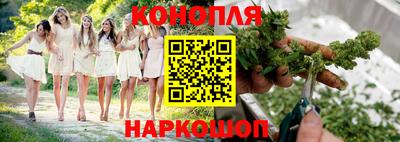 стаф Моздок