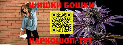 стаф Моздок